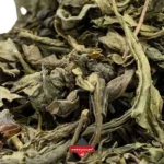 چای سبز فله قلم بهاره