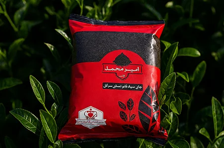 خرید چای لاهیجان؛ راهنمای کامل انتخاب چای اصیل ایرانی